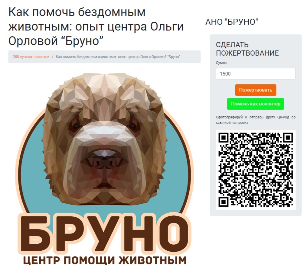 Приют для животных Бруно