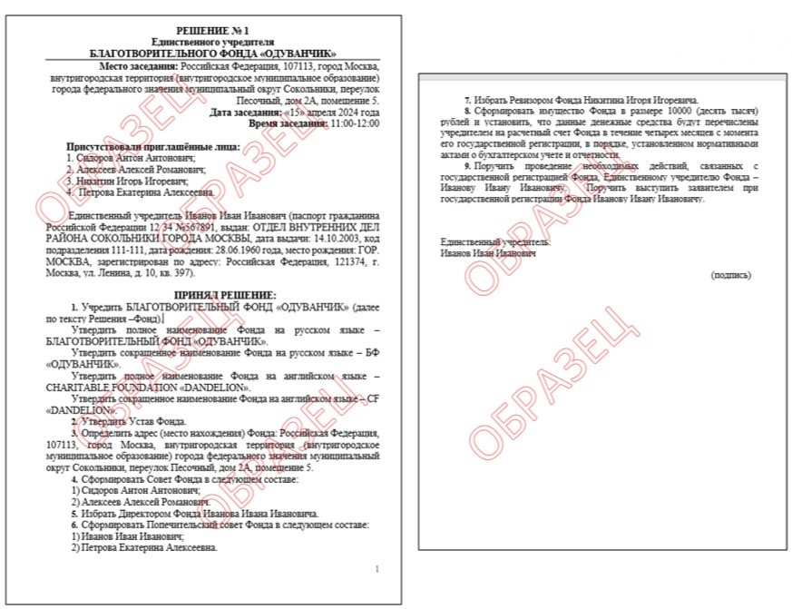 решение учредителя