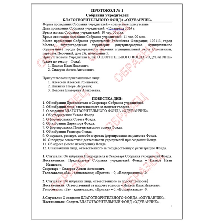 Протокол собрания учредителей НКО