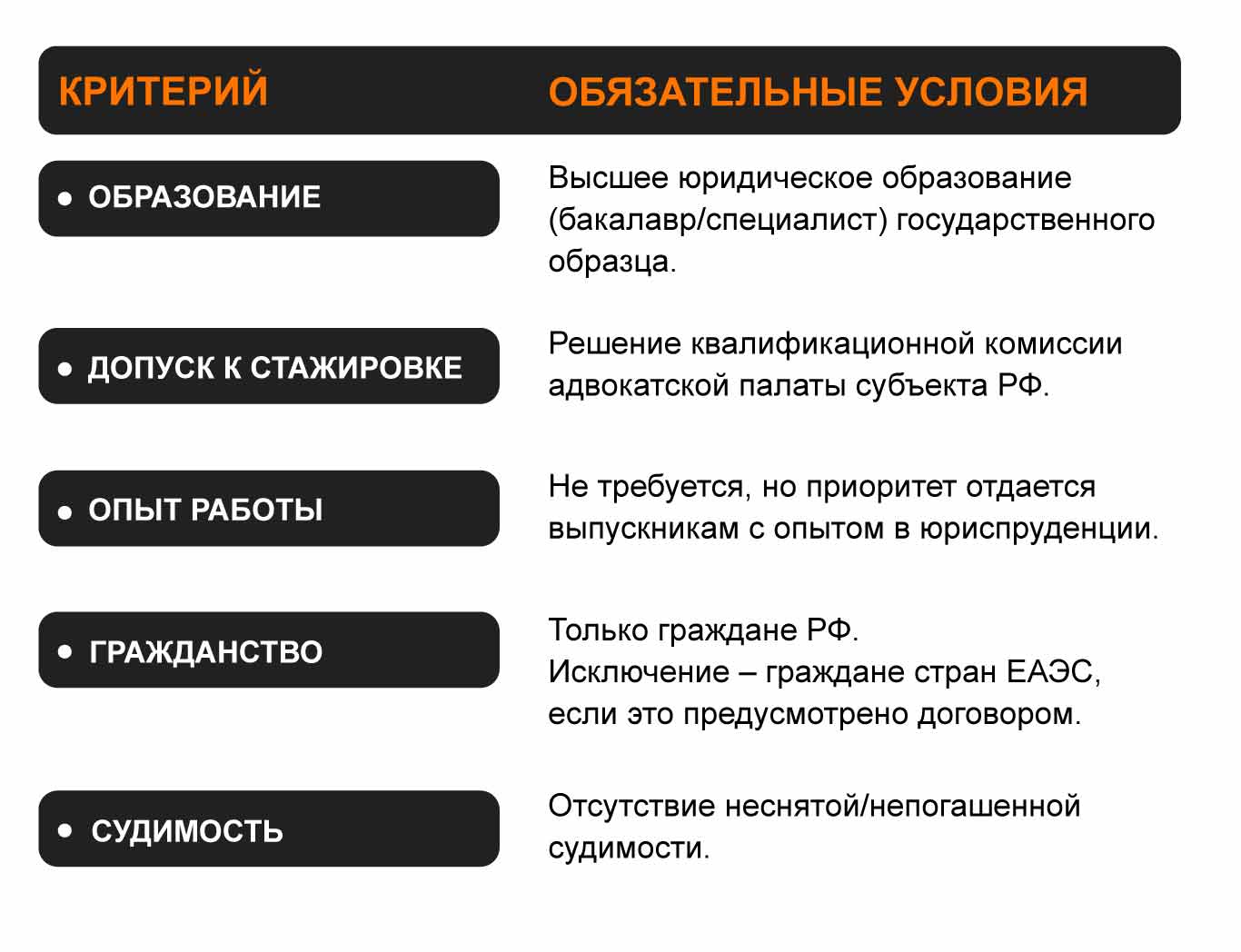 инфографика